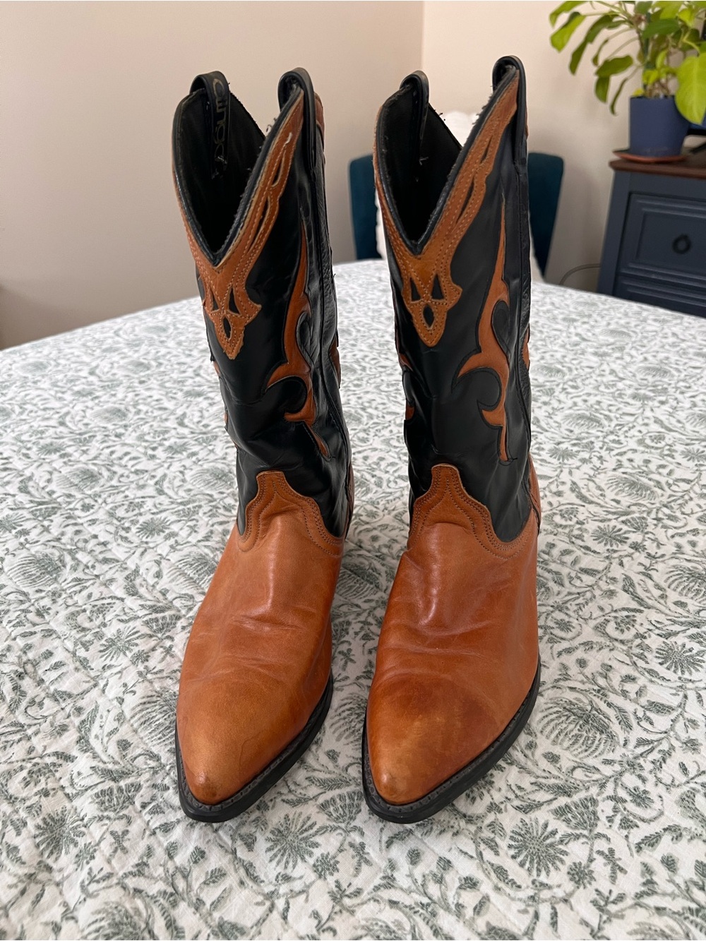dingo Black and Brown Western Women's Heeled Boots